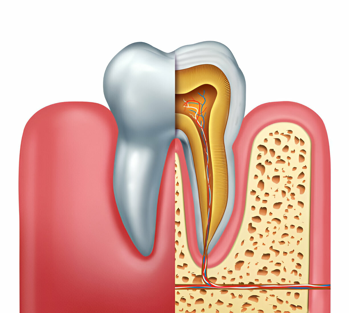 Why Choose Cane Bay Family Dentistry for Root Canal Therapy in Summerville, SC?_FI